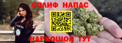 СК Славгород