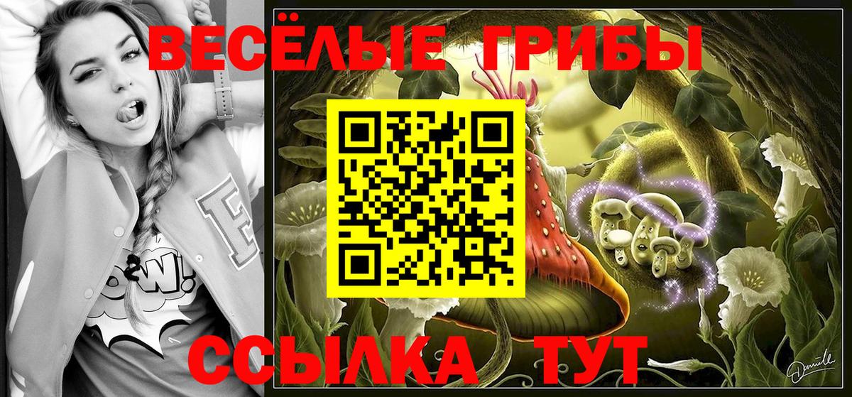 Галлюциногенные грибы ЛСД  хочу наркоту  Вход с VPN  Тамбов  Галлюциногенные грибы прущие грибы 